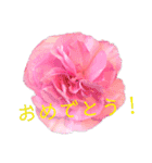 ふらわーず02（個別スタンプ：5）