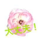 ふらわーず02（個別スタンプ：9）
