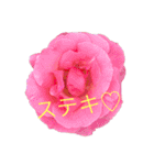 ふらわーず02（個別スタンプ：12）