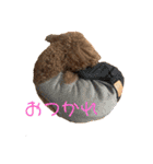 ロイくんの毎日➕（個別スタンプ：3）