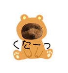 ロイくんの毎日➕（個別スタンプ：4）