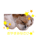 げんスタンプ（普段）（個別スタンプ：2）