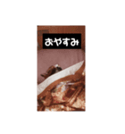 みや いいにゃ（個別スタンプ：1）