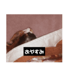 みや いいにゃ（個別スタンプ：4）