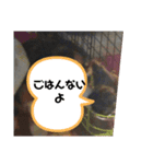 みや いいにゃ（個別スタンプ：7）