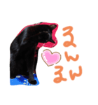 うちの黒猫の福ちゃん②（個別スタンプ：2）
