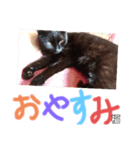 うちの黒猫の福ちゃん②（個別スタンプ：4）