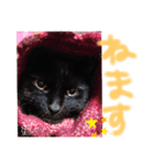 うちの黒猫の福ちゃん②（個別スタンプ：7）