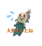 のめしこきチワワ3（個別スタンプ：14）