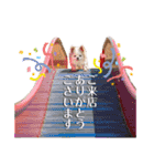 のめしこきチワワ3（個別スタンプ：15）