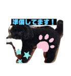 コジ 2（個別スタンプ：1）