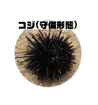 コジ 2（個別スタンプ：4）