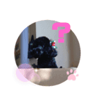 コジ 2（個別スタンプ：7）