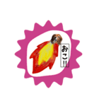 おにやまさんのスタンプ（個別スタンプ：4）