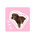おにやまさんのスタンプ（個別スタンプ：6）