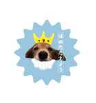 おにやまさんのスタンプ（個別スタンプ：8）