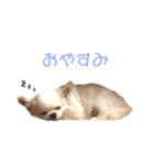 みるくの毎日すたんぷ（個別スタンプ：2）