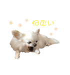 みるくの毎日すたんぷ（個別スタンプ：9）