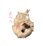 みるくの毎日すたんぷ（個別スタンプ：18）