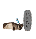 うさぎのおはたんスタンプ（個別スタンプ：2）
