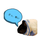 うさぎのおはたんスタンプ（個別スタンプ：7）