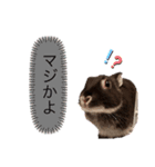 うさぎのおはたんスタンプ（個別スタンプ：14）