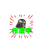 ワンワン三銃士（個別スタンプ：5）