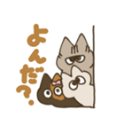 またたびニヤンズ（個別スタンプ：3）