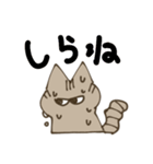またたびニヤンズ（個別スタンプ：4）