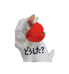 白猫 ももつぁん2（個別スタンプ：10）