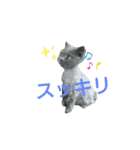 ルイとコーラ（個別スタンプ：6）