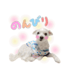 犬による間接的な主張スタンプ（個別スタンプ：7）