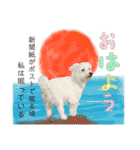 犬による間接的な主張スタンプ（個別スタンプ：8）