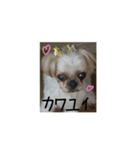 ユキ子とタロウ（個別スタンプ：3）
