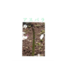 ユキ子とタロウ（個別スタンプ：8）