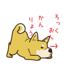 うちのコスタンプ（柴犬ver.）（個別スタンプ：30）