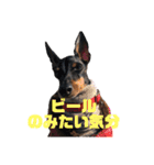 トイマンチェスターテリア ★JOHN★02（個別スタンプ：39）