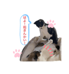 うまごんとぶんた☆日常（個別スタンプ：1）