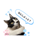 うまごんとぶんた☆日常（個別スタンプ：3）
