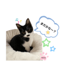 うまごんとぶんた☆日常（個別スタンプ：4）