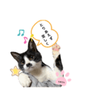 うまごんとぶんた☆日常（個別スタンプ：5）