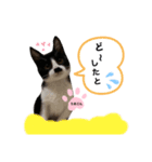 うまごんとぶんた☆日常（個別スタンプ：7）