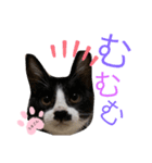 うまごんとぶんた☆日常（個別スタンプ：8）