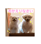 私のかわいいたからもの2020（個別スタンプ：4）