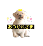 私のかわいいたからもの2020（個別スタンプ：6）