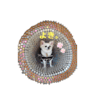 私のかわいいたからもの2020（個別スタンプ：9）