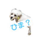 私のかわいいたからもの2020（個別スタンプ：20）