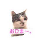 私のかわいいたからもの2020（個別スタンプ：21）