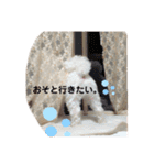 私のかわいいたからもの2020（個別スタンプ：23）
