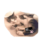 私のかわいいたからもの2020（個別スタンプ：24）